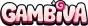 Application Mobile Gambiva Casino